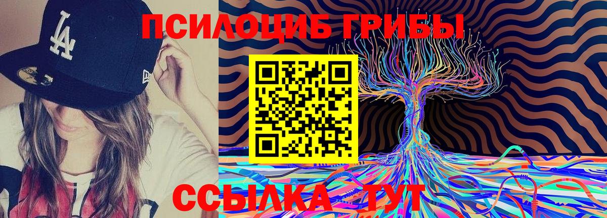 Галлюциногенные грибы MAGIC MUSHROOMS  Галлюциногенные грибы мицелий  как найти   Гусев 