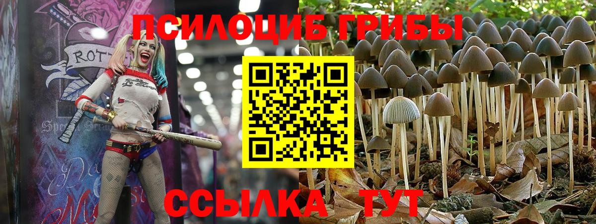 Псилоцибиновые грибы мухоморы Гусев