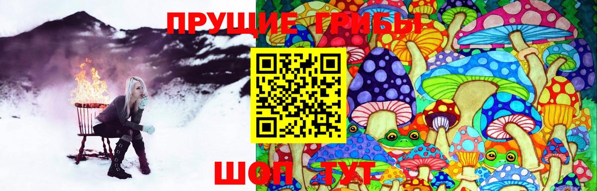 Псилоцибиновые грибы MAGIC MUSHROOMS Гусев