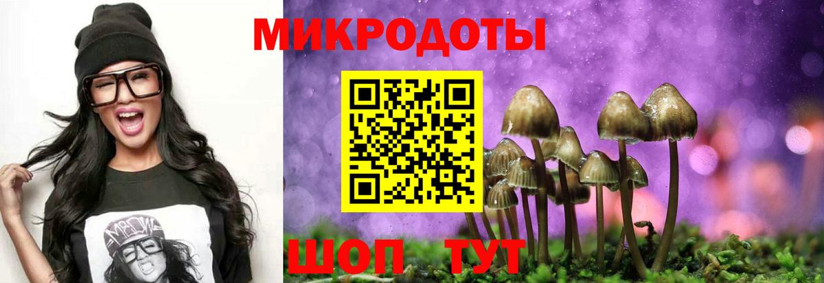 Галлюциногенные грибы мухоморы  Вход с VPN  Гусев 
